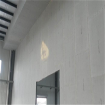南溪宁波ALC板|EPS加气板隔墙与混凝土整浇联接的实验研讨